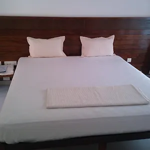 Lilypad Varkala
